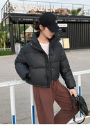 Women Winter Cropped Jacket β Warm Cotton-Padded Puffer Coat