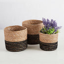 Set of 3 Mini Cylinder Basket Set | Rustic Storage with Coastal Charm