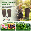 Tall Rattan Plant Pots with Liners - Set of 2
