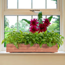 Wooden Raised Garden Bed Planter Box Set of 2 - Brown