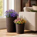 Plastic Rattan Planters Set of 3 with Drainage and Saucers