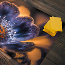 Fragile Beauty Playmat