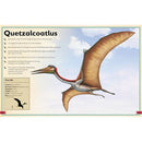 The Magnificent Book of Dinosaurs