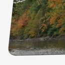 Autumn's Progress Playmat