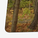 Path of Autumn Playmat