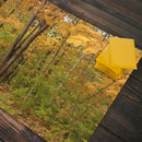 Path of Autumn Playmat
