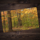 Path of Autumn Playmat