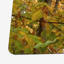 Spectrum of Seasons Playmat