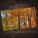 Spectrum of Seasons Playmat