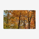 Spectrum of Seasons Playmat