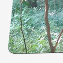 Sunlit Thorns Playmat