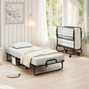 „ÄêFree $29 Pillow with Bed Purchase„ÄëTwin Size Folding Bed with 5 Inch Mattress