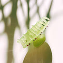 Velvet Claws Hair Clip | Cherries in Mint Ice | Claw Clip in Velvet Travel Bag