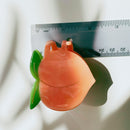 Velvet Claws Jane and the Medium Peach Mini Hair Claw | Claw Clip in Velvet Travel Bag