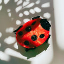 Velvet Claws Ladybug Hair Claw