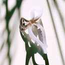 Velvet Claws Mini Coquette Bow in Violet Ombre Hair Clip | Claw Clip in Velvet Travel Bag