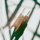 Velvet Claws Mini Orange Cat Hair Claw