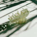 Velvet Claws Monstera White Tropical Hair Clip