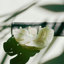 Velvet Claws Monstera White Tropical Hair Clip