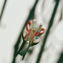 Velvet Claws Pink Tea Cup with Heart Hair Claw