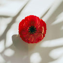 Velvet Claws Round Poppy Small Hair Claw | Claw Clip in Velvet Travel Bag