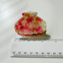 Velvet Claws Seashell Claw Set of 2: Aqua and Coral | Hair Claw Clip in Velvet Travel Bag