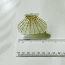 Velvet Claws Seashell Claw Set of 2: Pearl and Purple | Hair Claw Clip in Velvet Travel Bag