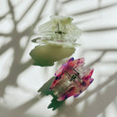 Velvet Claws Seashell Claw Set of 2: Pearl and Purple | Hair Claw Clip in Velvet Travel Bag