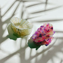 Velvet Claws Seashell Claw Set of 2: Pearl and Purple | Hair Claw Clip in Velvet Travel Bag