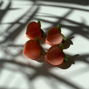 Velvet Claws Set of 4 ππππ Mini Peach Hair Clips