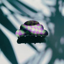 Velvet Claws Small Hair Clip | Checkered Disco Cloud in Lilac Hair Claw