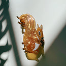 Velvet Claws Squirrel Holding Acorn Hair Claw