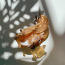 Velvet Claws Squirrel Holding Acorn Hair Claw