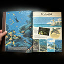 Wilderness & Wonder: An Illustrated Guide to the National Parks HARD COVER Book