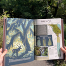 Wilderness & Wonder: An Illustrated Guide to the National Parks SOFTCOVER Book