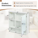 Wall-Mounted Mirror Cabinet with Hidden & Open Storage