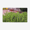 Sea Side Greenery Playmat