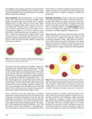 Make: Zero to Genetic Engineering Hero - Print