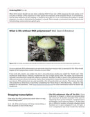 Make: Zero to Genetic Engineering Hero - Print