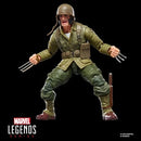 Marvel Legends Executioner Series 6-Inch Action Figures - Select Figure(s)