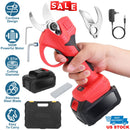 Cordless Electric Pruning Shears 21V with 2 Batteries