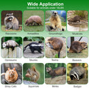 38in 2 Door Live Animal Cage Trap For Animals Under 18LBS Easy To Setup Humane Galvanized Iron Trap Cage For Raccoons Armadillos Groundhogs Muskrats O