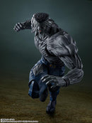 Yu Yu Hakusho S.H.Figuarts Younger Toguro (100% Ver.) Action Figure