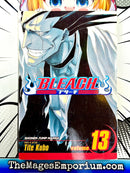 Bleach Vol 13