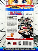 Bleach Vol 17