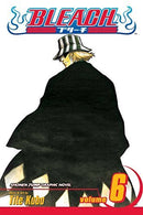 Bleach Vol 6