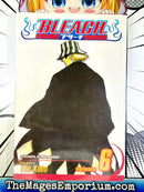 Bleach Vol 6