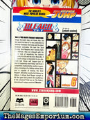 Bleach Vol 6