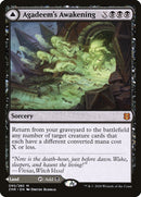 Agadeem's Awakening // Agadeem, the Undercrypt (ZNR-090) - Zendikar Rising