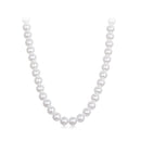 925 Sterling Silver White Gold Plated 39-45.5cm Quality Shell Pearl Necklace for Women